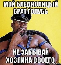 мой бледнолицый брат голубь не забывай хозяина своего