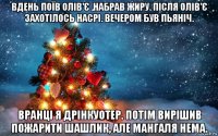 вдень поїв олів'є ,набрав жиру. після олів'є захотілось насрі. вечером був пьяніч. вранці я дрінкуотер. потім вирішив пожарити шашлик, але мангаля нема.