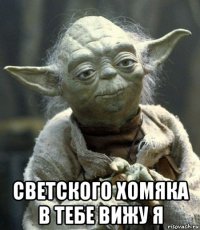  светского хомяка в тебе вижу я