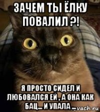 зачем ты ёлку повалил ?! я просто сидел и любовался ей , а она как бац... и упала ...