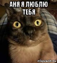 аня я люблю тебя 