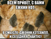 всем привет, с вами ёжкин кот, в смысле, джонни кэтсвилл. и сегодня я - кактус!
