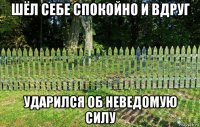шёл себе спокойно и вдруг ударился об неведомую силу