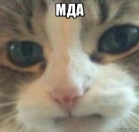 мда 