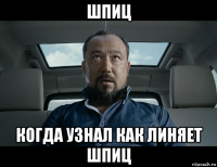 шпиц когда узнал как линяет шпиц