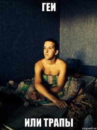 геи или трапы