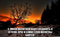  с умной молитвой надо соединять и устную. враг и самих слов молитвы боится.