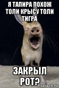  закрыл рот?