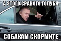 а этого сраного голубя собакам скормите