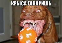 крыса говоришь 