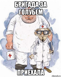 бригада за голубем приехала