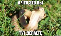 а что это вы тут делаете