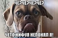 че?че?че?че? чето,нифуя непонял я!