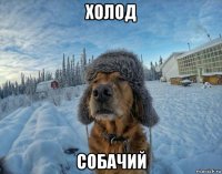 холод собачий