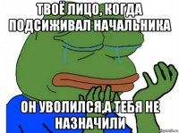 твоё лицо, когда подсиживал начальника он уволился,а тебя не назначили