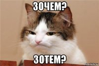 зочем? зотем?