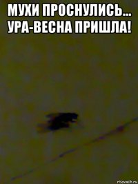 мухи проснулись... ура-весна пришла! 