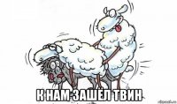  к нам зашёл твин