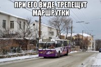 при его виде, трепещут маршрутки 