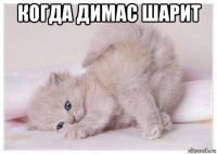 когда димас шарит 