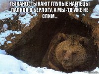 тыкают, тыкают глупые наглецы палкой в берлогу, а мы-то уже не спим... 