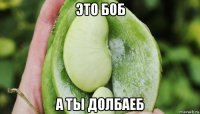 это боб а ты долбаеб