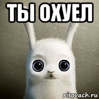 ты охуел 