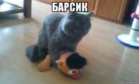 барсик 