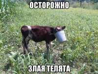осторожно злая телята