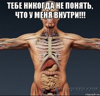 тебе никогда не понять, что у меня внутри!!! 