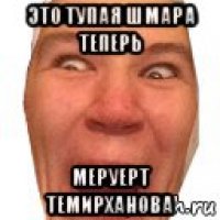 это тупая шмара теперь меруерт темирханова