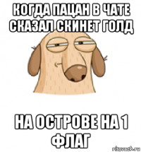 когда пацан в чате сказал скинет голд на острове на 1 флаг