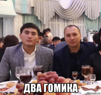  два гомика