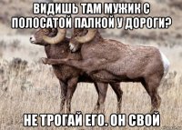 видишь там мужик с полосатой палкой у дороги? не трогай его. он свой