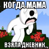 когда мама взяла дневник