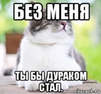 без меня ты бы дураком стал.