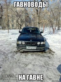 гавноводы на гавне