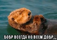  бобр всегда ко всем добр