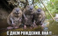  с днем рождения, яна !!