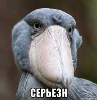  серьезн
