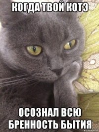 когда твой котэ осознал всю бренность бытия
