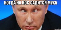 когда на нос садится муха 