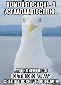 помой посуду! - я устаалаа, посплю.. ..тут клиенты со светлогорска.. ааа? свелогорск? где, когда?!?