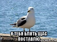  я тебя блять щас поставлю