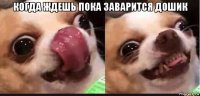 когда ждешь пока заварится дошик 