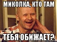 миколка, кто там тебя обижает?