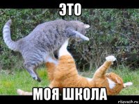 это моя школа