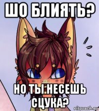 шо блиять? но ты несешь сцука?