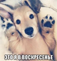  это я в воскресенье