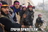  грачи прилетели